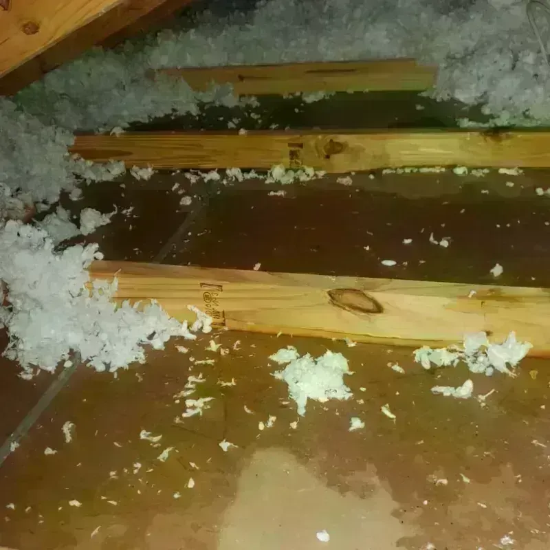 Best Attic Water Damage Service in Stuart, VA