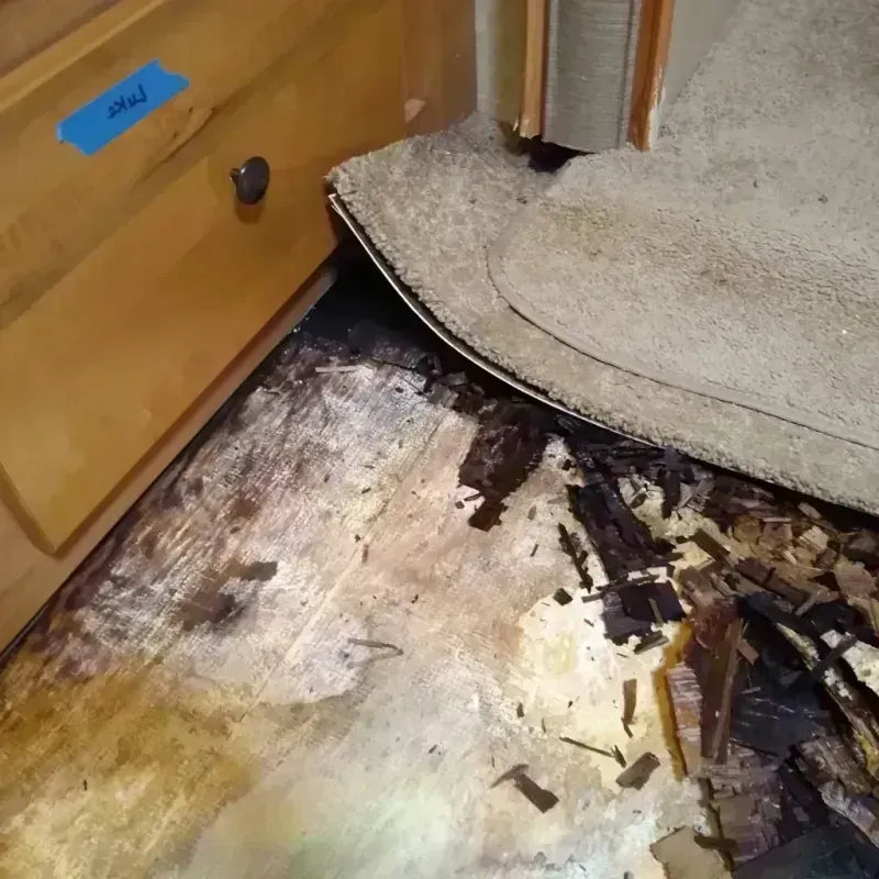 Wood Floor Water Damage in Stuart, VA